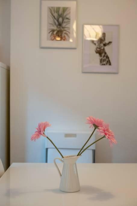 Galway City Cottage Luaran gambar